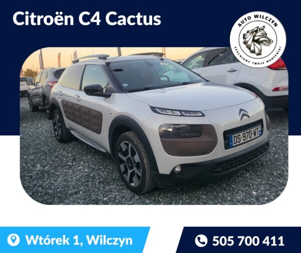 Citroen C4 Cactus Shine Edition